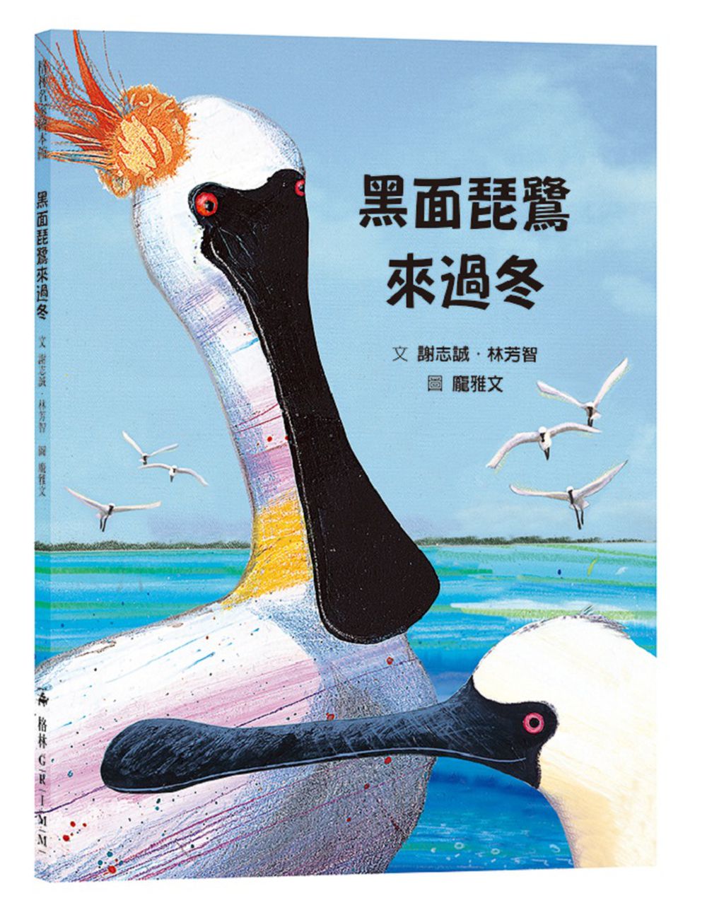 黑面琵鷺來過冬