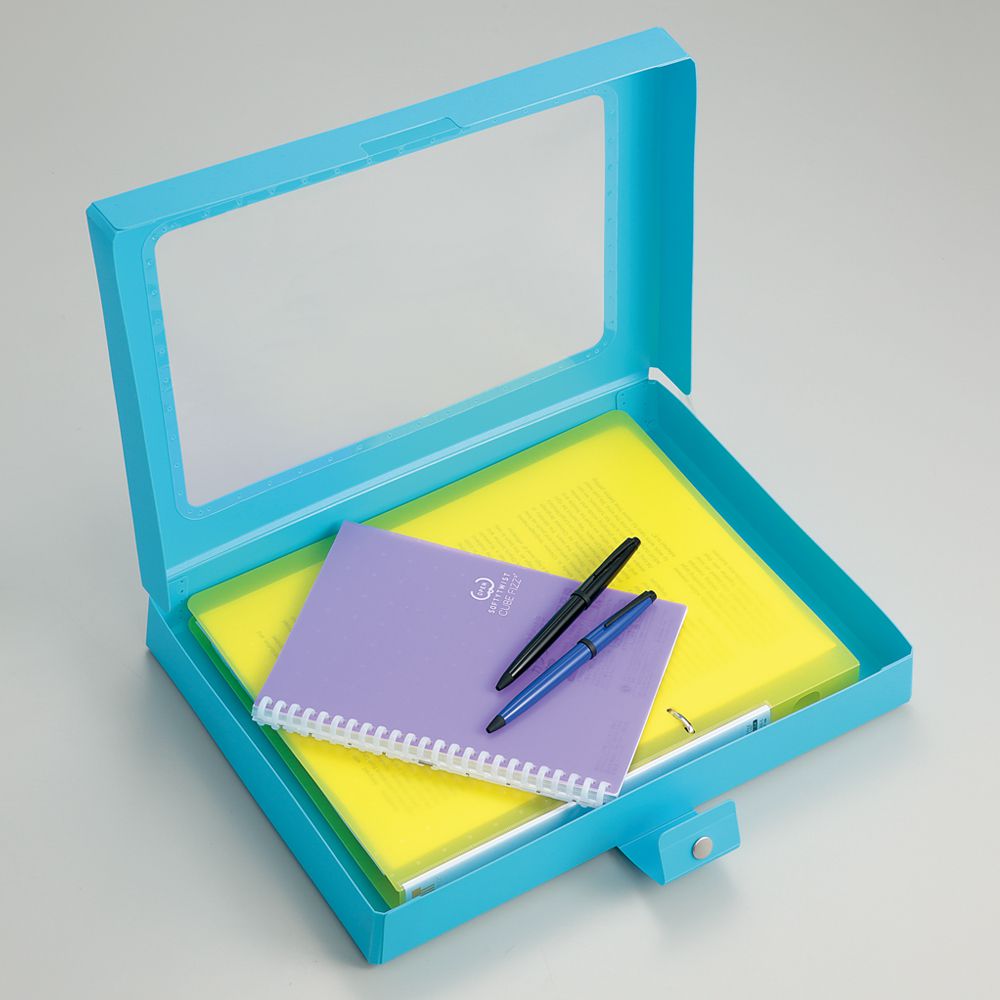 日本文具 LIHIT - 馬卡龍繽紛透明窗收納盒-杏-A4