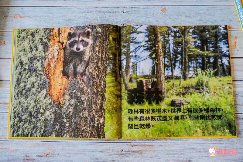 小小動物探險家 (精裝 / 128頁 / 全彩印刷)