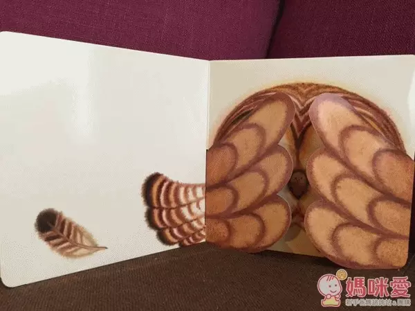 格林文化硬紙書