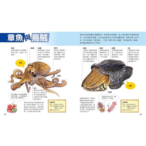 一樣不一樣-精裝-全彩-全套三冊/精裝/共168頁/25.2*20cm/彩色