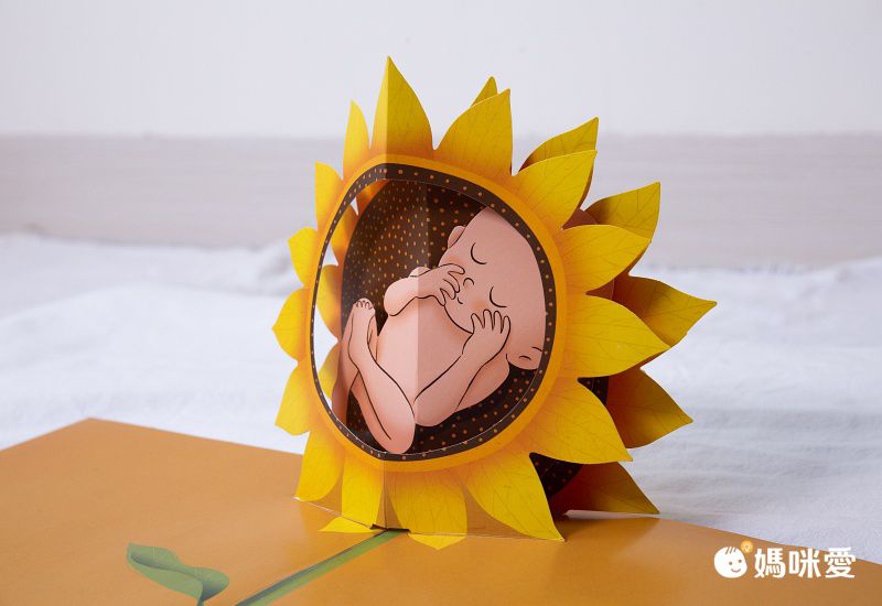 你在媽媽肚子裡的樣子―1：1真實比例小寶寶立體書（立體封面典藏版）