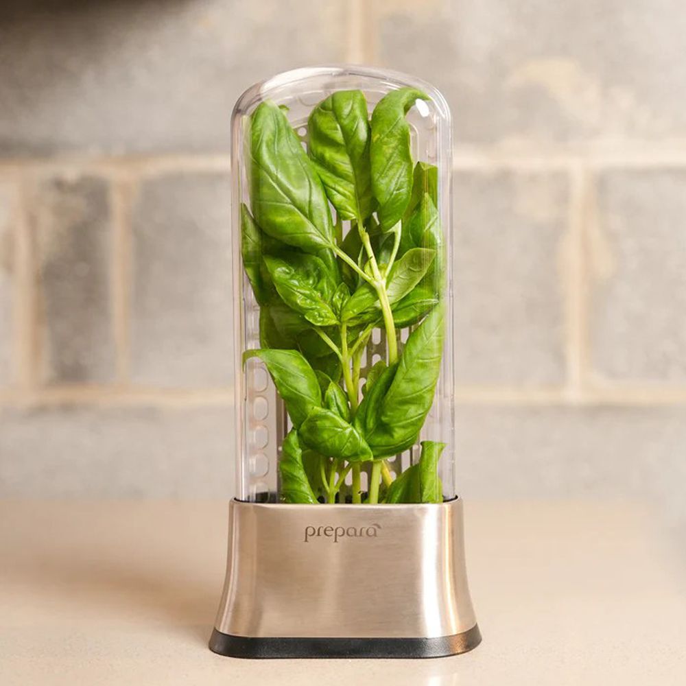 Prepara 不鏽鋼香草植物保鮮器/單入 (294.8g)-單入