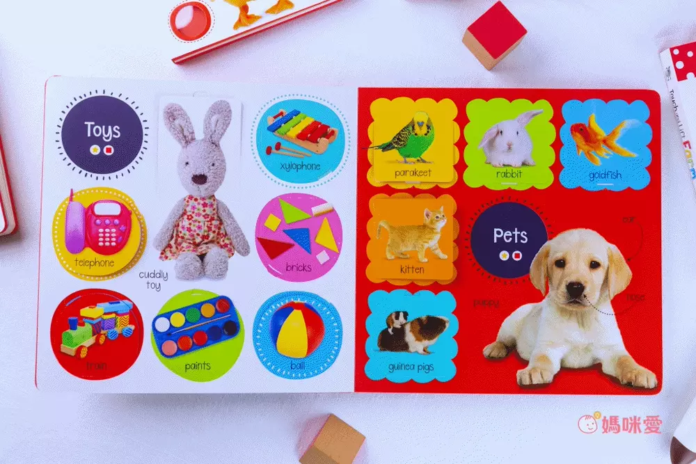 日本設計研發《KIDsREAD 四語圖解字典 》終於補貨！