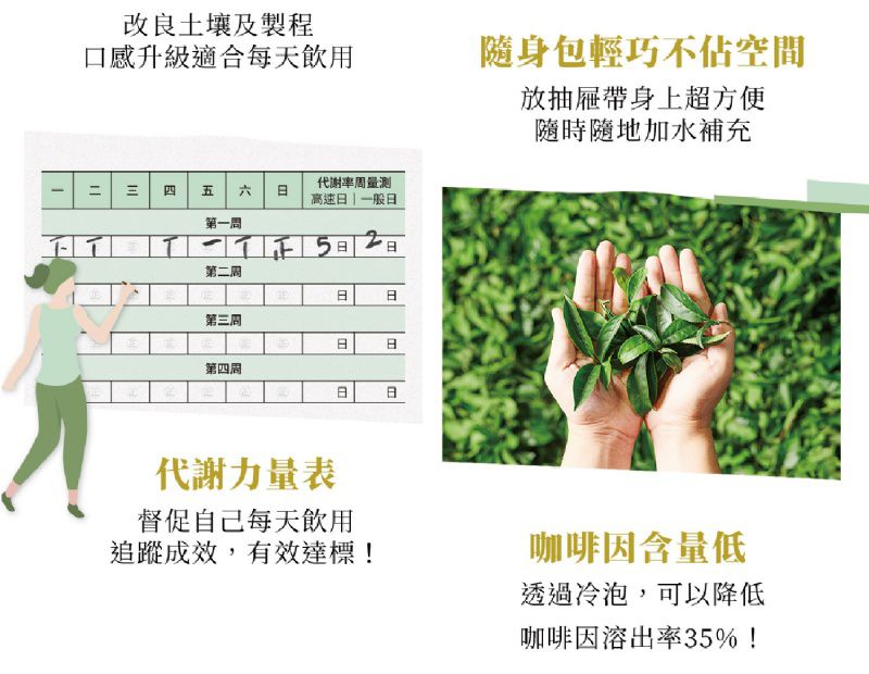 Teascovery 發現茶 - 冷泡 兒茶素綠茶 30入盒裝