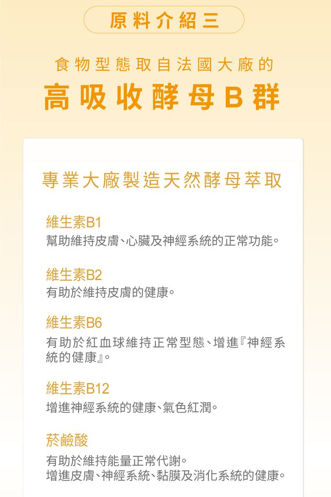 法國大廠高吸收天然酵母B群
