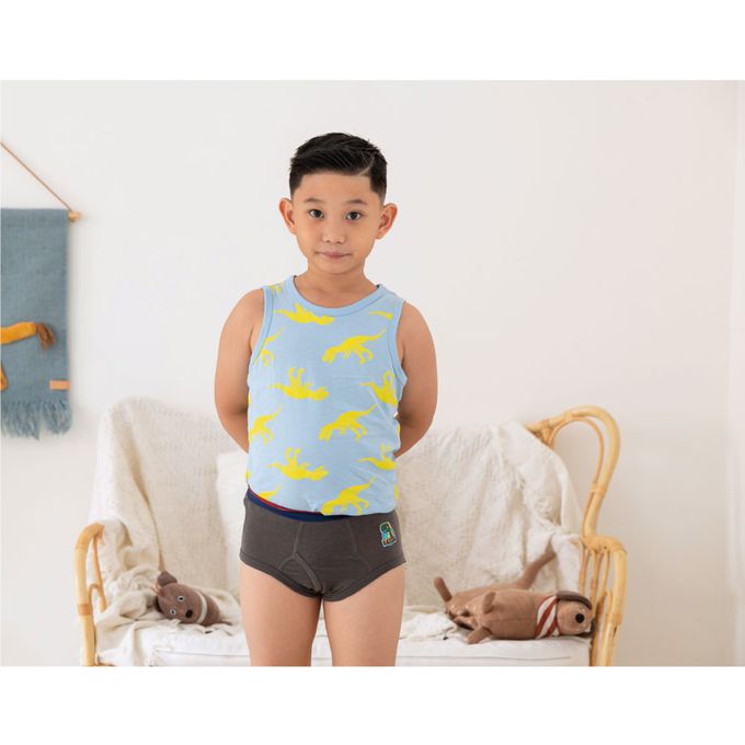 貝柔 Peilou - 天絲棉舒膚平衡童男三角褲-貼布繡-暴龍-灰