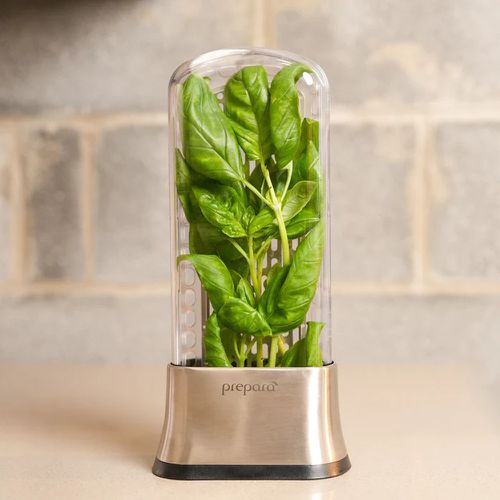 Prepara 不鏽鋼香草植物保鮮器/單入 (294.8g)-單入