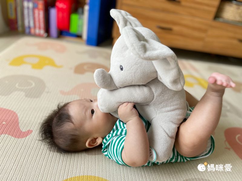 美國GUND - 小象躲貓貓互動玩偶