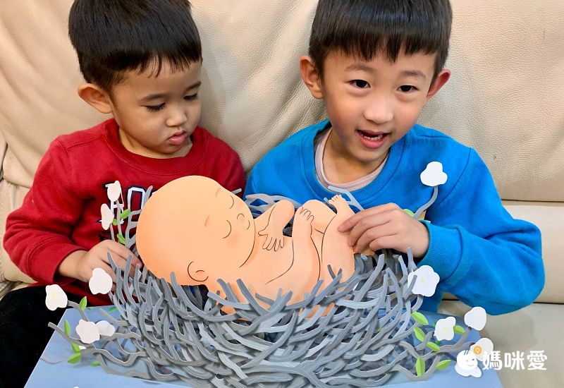 你在媽媽肚子裡的樣子―1：1真實比例小寶寶立體書（立體封面典藏版）