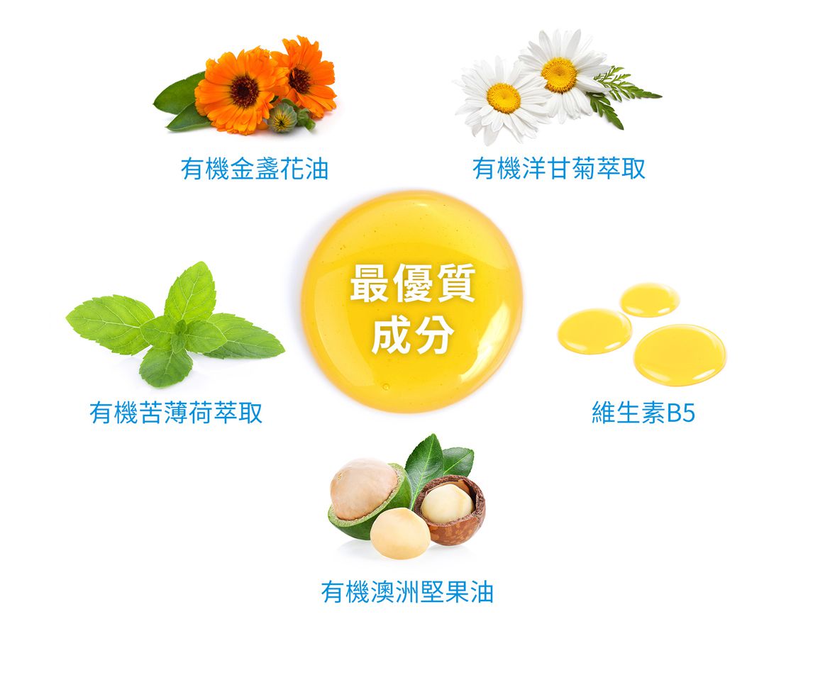 Cindora 馨朵拉 - 紫馨寶貝舒護親膚乳-180ml