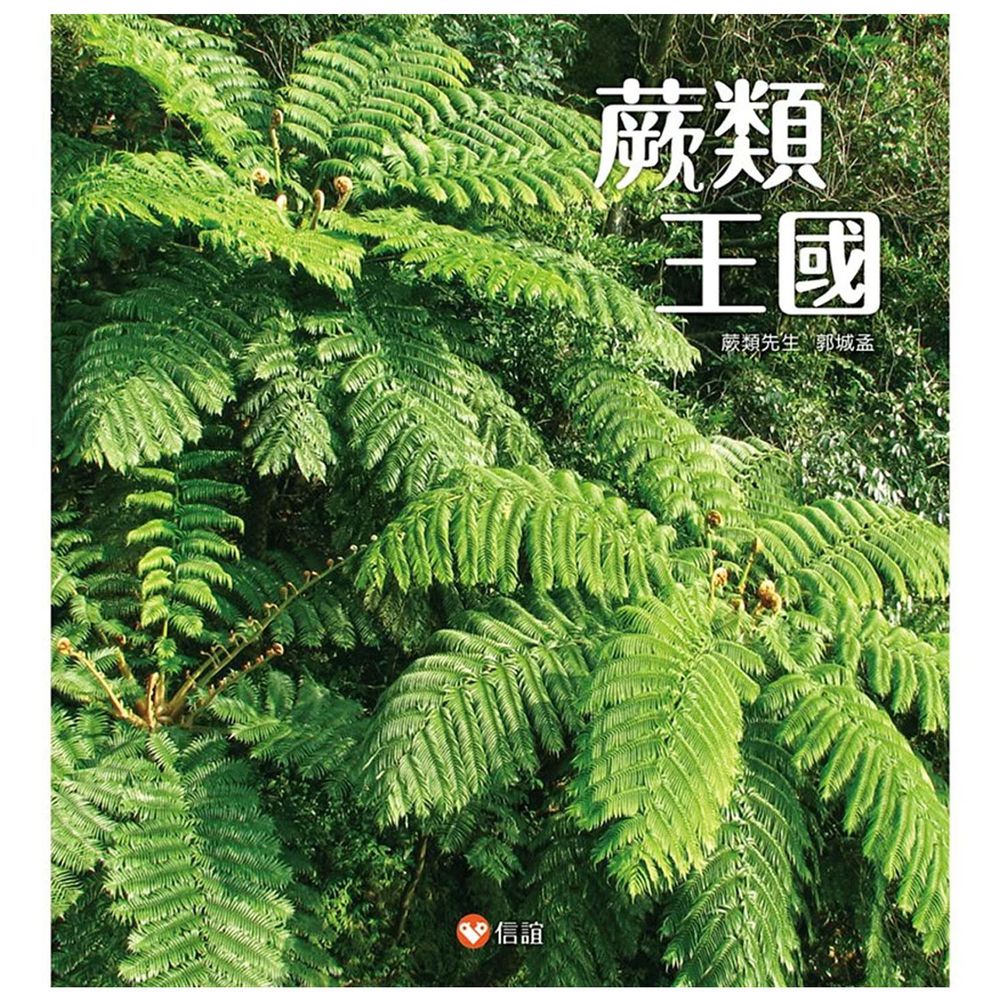 蕨類王國
