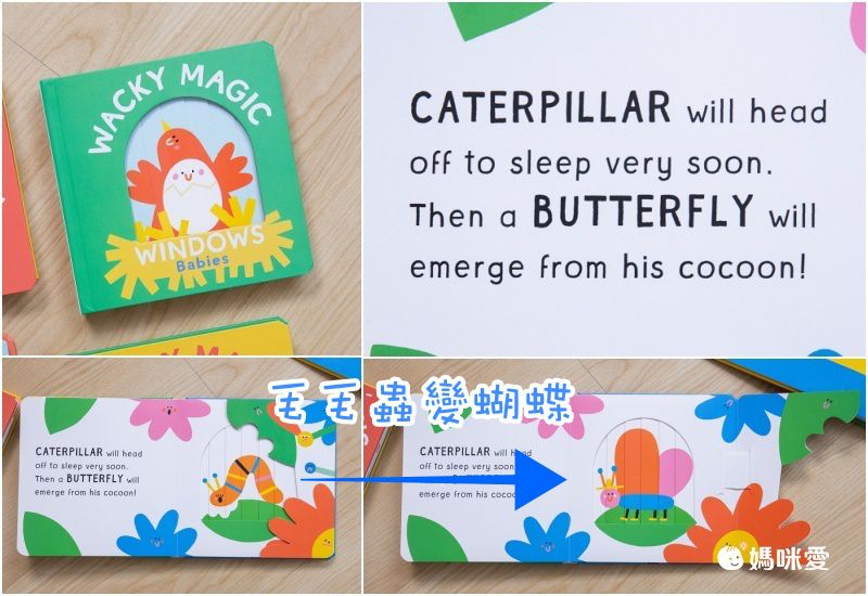 Wacky Windows: Animals 古怪百葉窗書：認識動物（厚頁書）