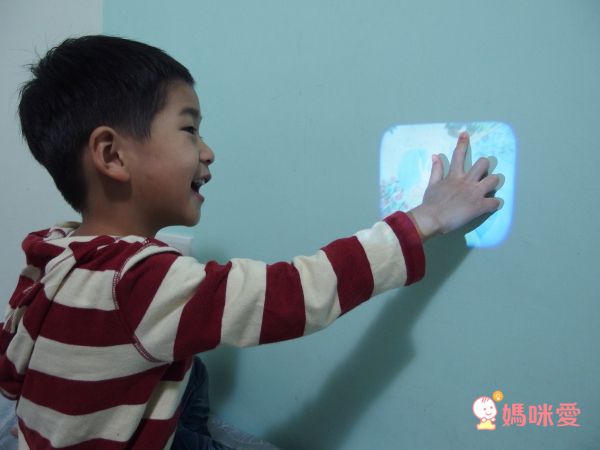 Moulin Roty - 【熱銷推薦】故事手電筒-動物家族