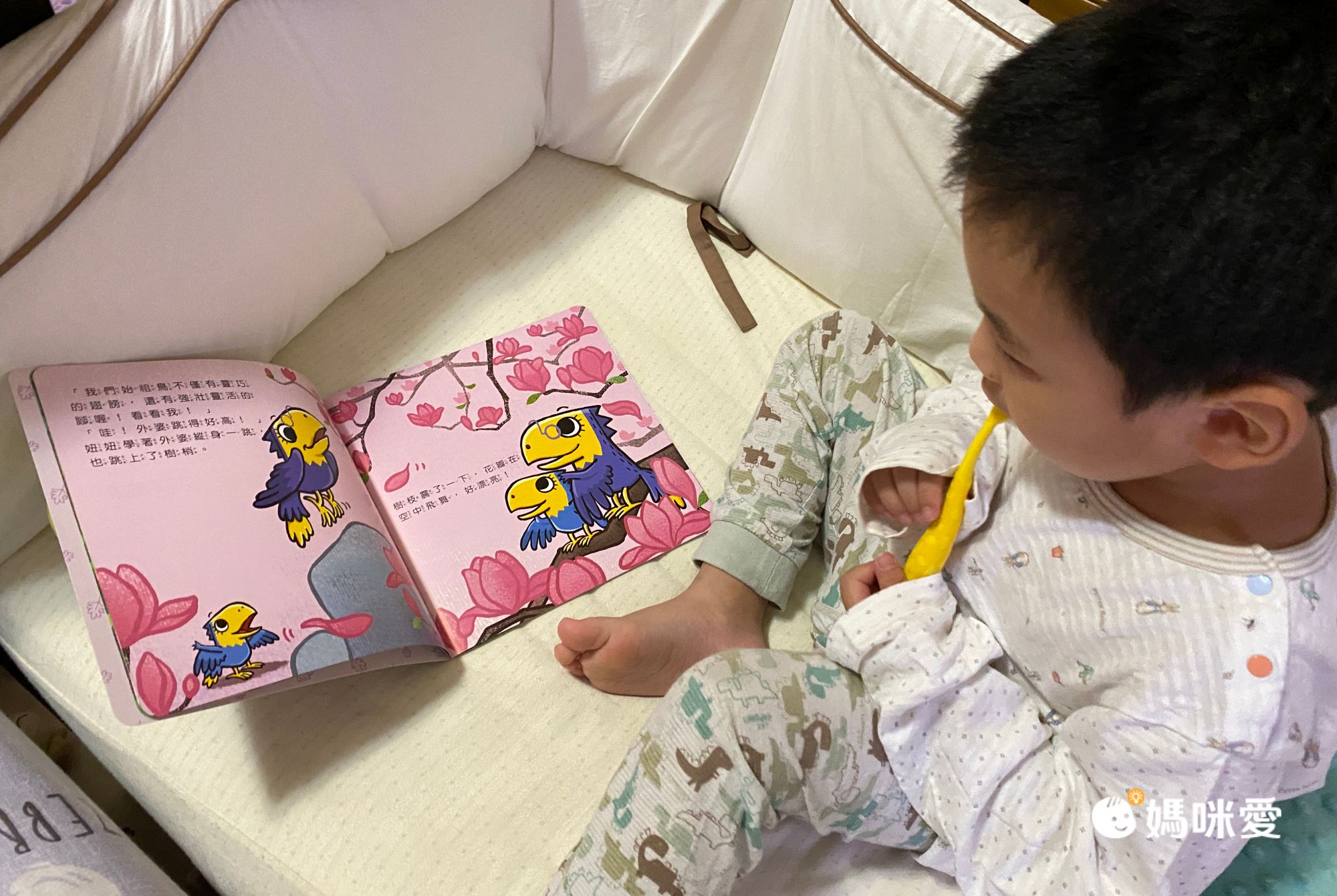 【双美生活】性教育啟蒙立體遊戲書！帶領孩子認識身體