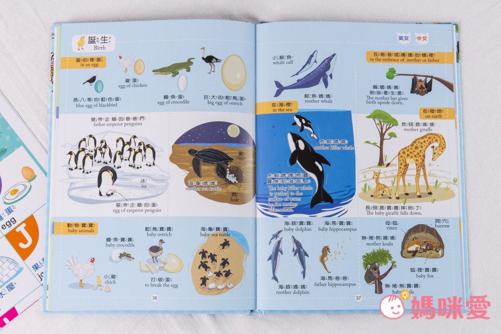 符合教育部國小規定【世一文化點讀筆系列】中英學習靠這套！