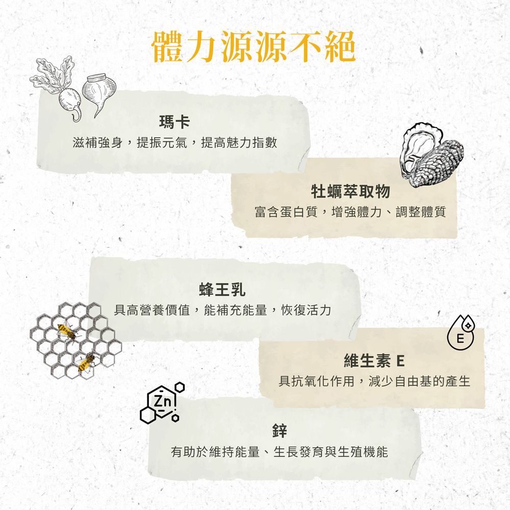 Sanct Bernhard 德國百年草本-牡蠣瑪卡活性膠囊 (120顆/瓶)