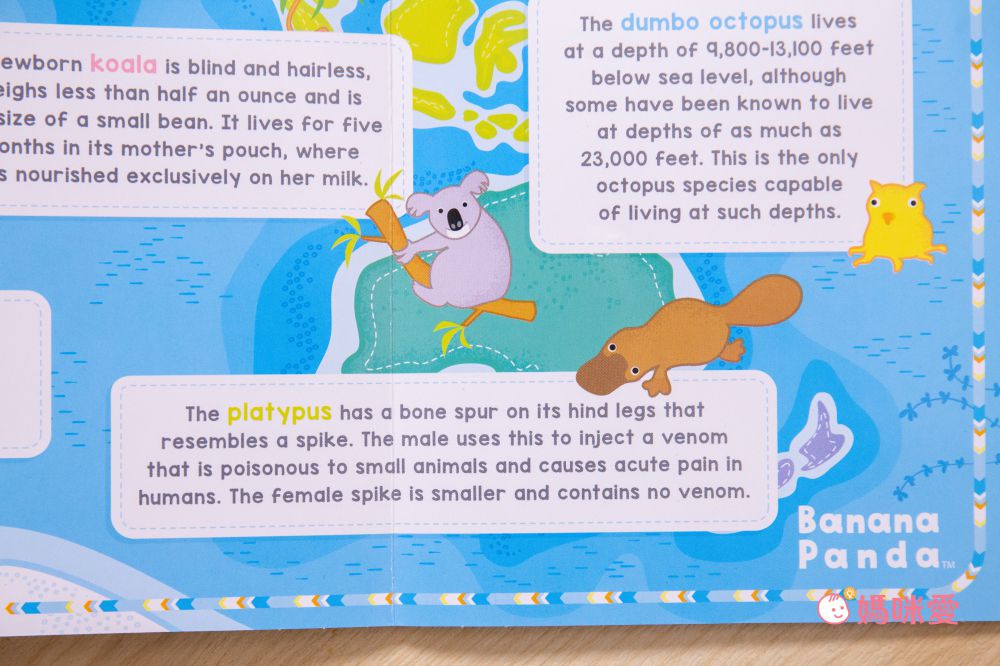 Banana Panda - 世界拼圖-立體動物世界 (附海報)-60片