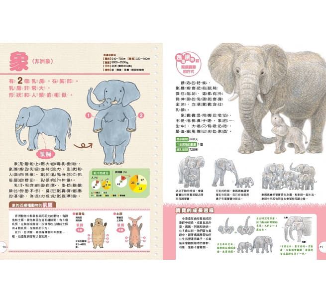 動物媽媽的乳房：動物比較圖鑑-精裝