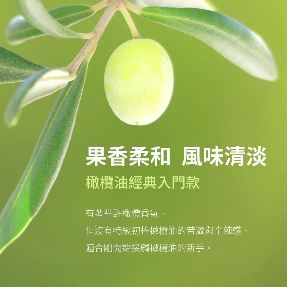 100% 純橄欖油(750ml)-750ml/瓶