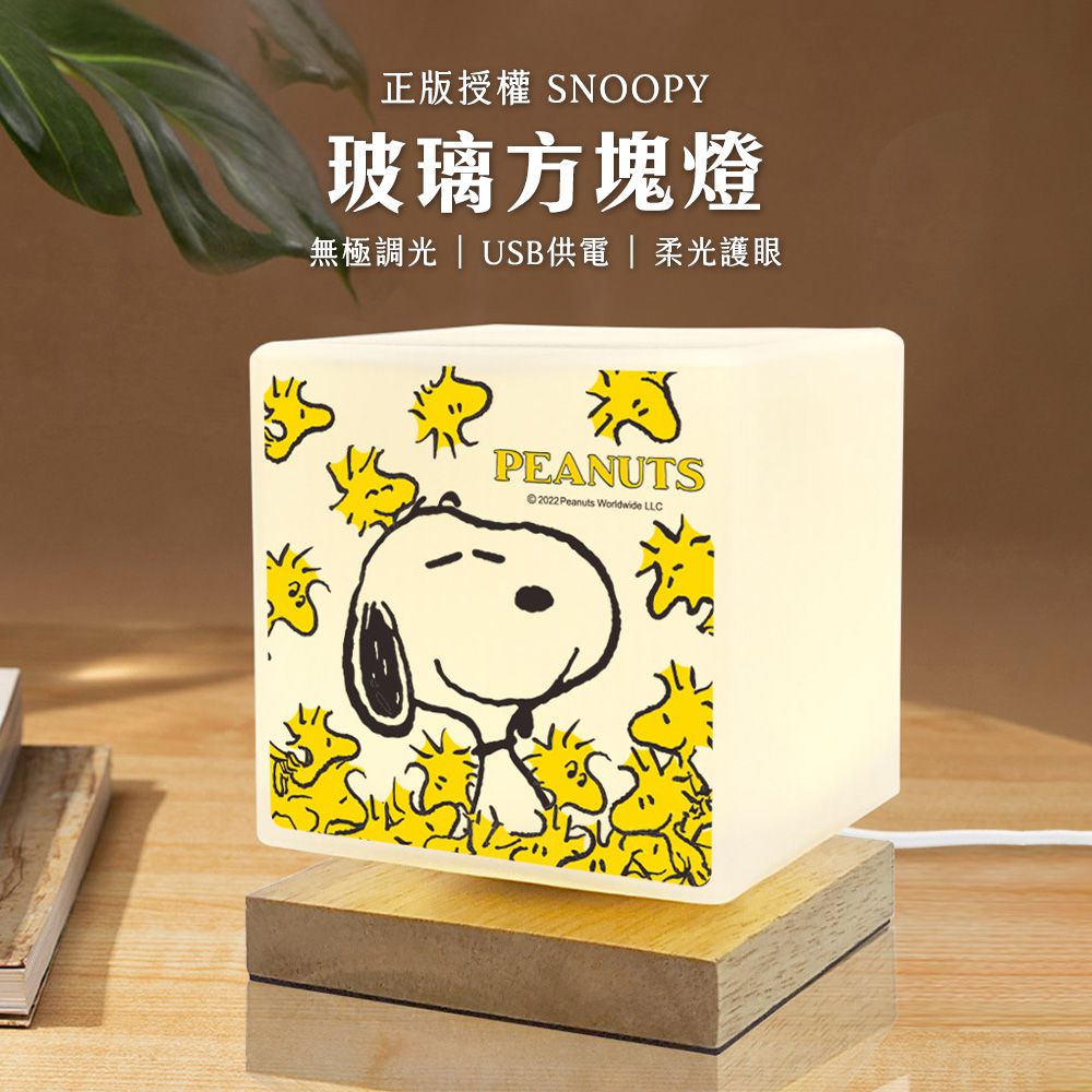 SNOOPY 柔光玻璃方塊LED夜燈/檯燈/情境燈/桌燈-飛鳥包圍