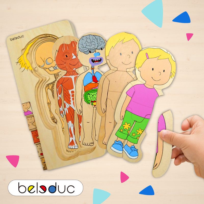 拼圖界的百科全書【德國 Beleduc】多層次拼圖 / 人體拼圖