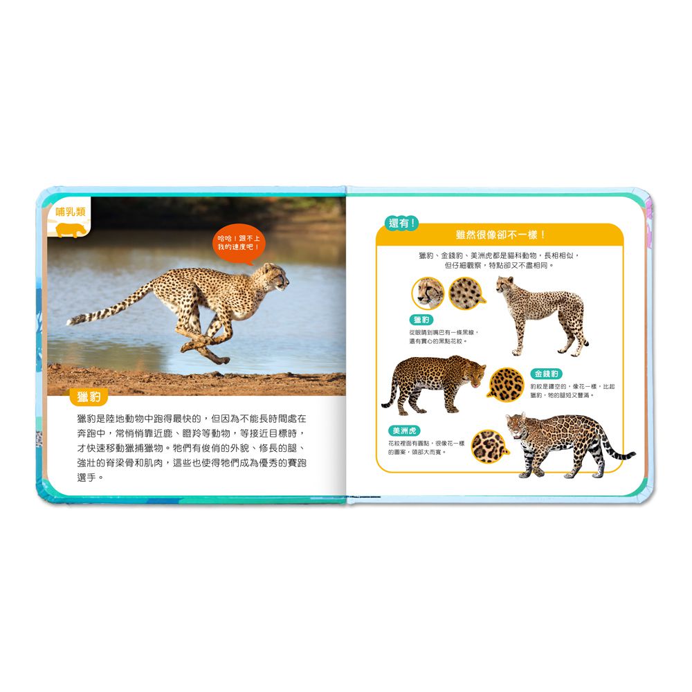 前進動物王國