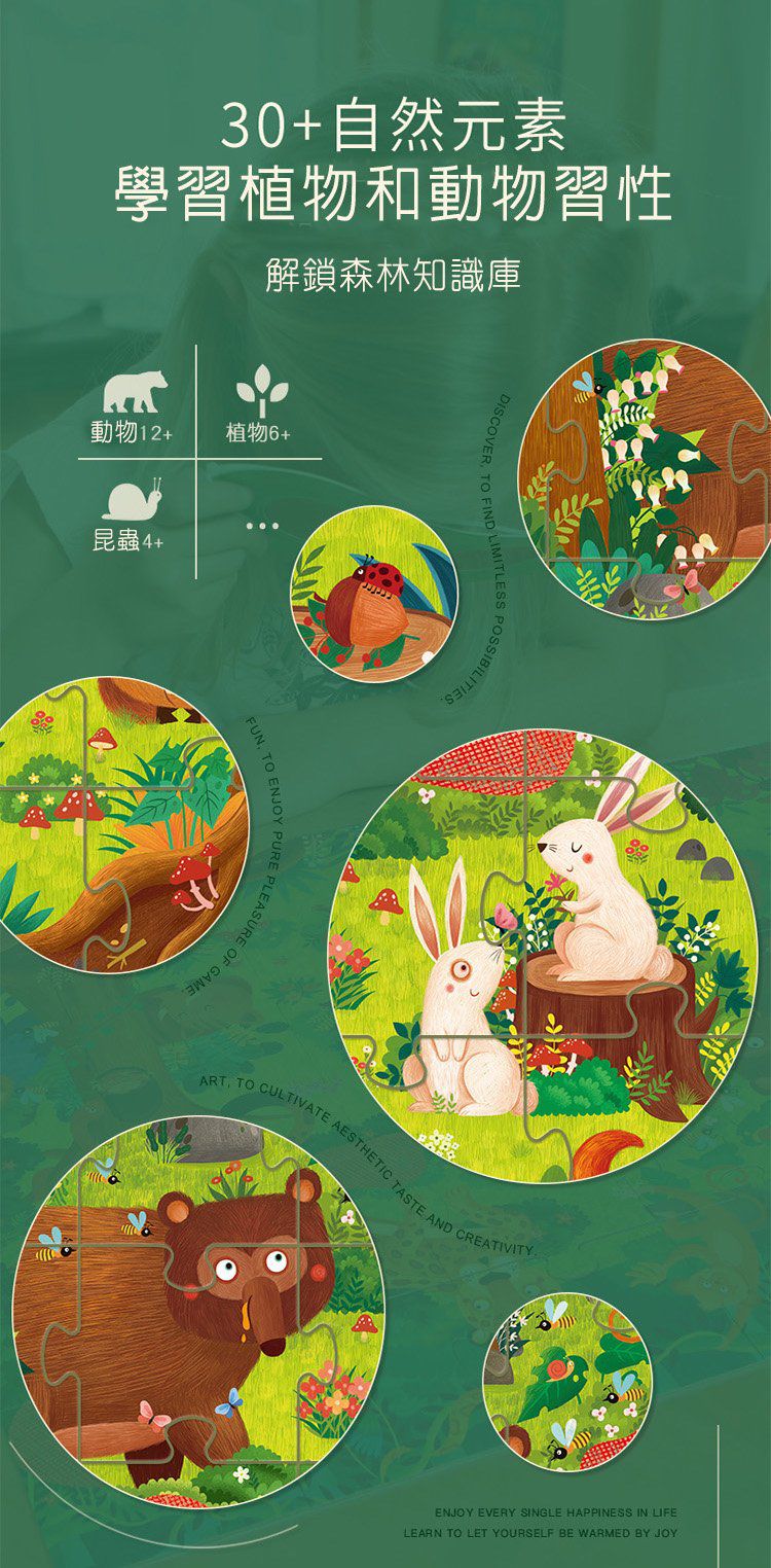 MiDeer - 兒童探索拼圖-森林-35片