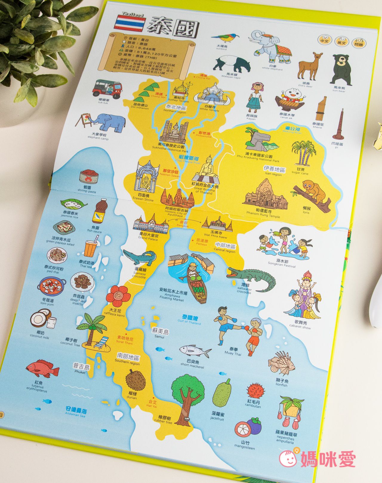 ＼下殺59折起／FOOD超人多重點讀筆套組，培養世界觀！