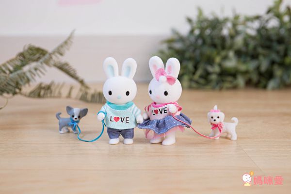 韓國【兔寶家族家家酒】正版授權，滿額送樂高收納盒