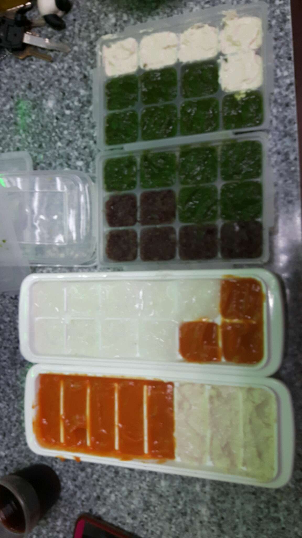 八個月，媽咪愛心食品(冰磚)