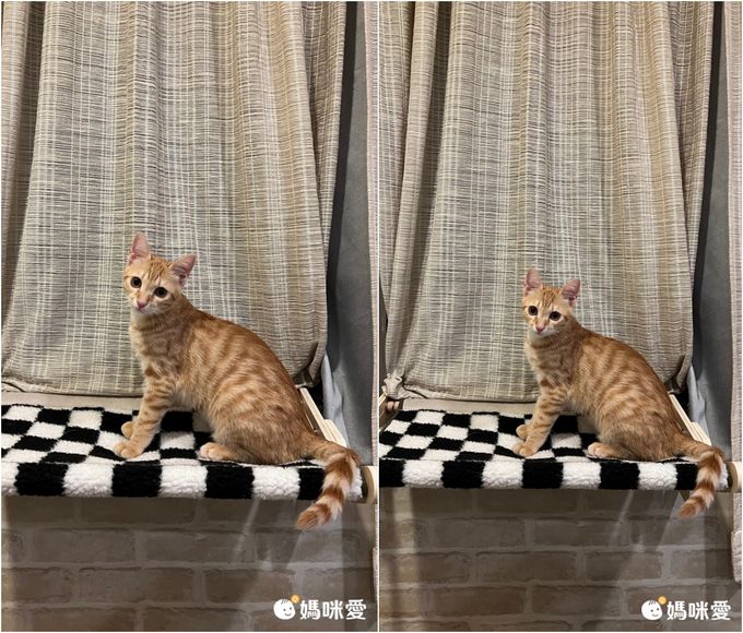 寵物懸掛吊床-棋盤格-黑+白 (47x39.5x21.5cm)