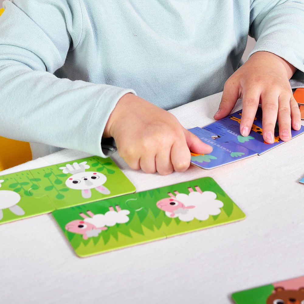 西班牙 APLI - 二分之一拼圖-對比關係