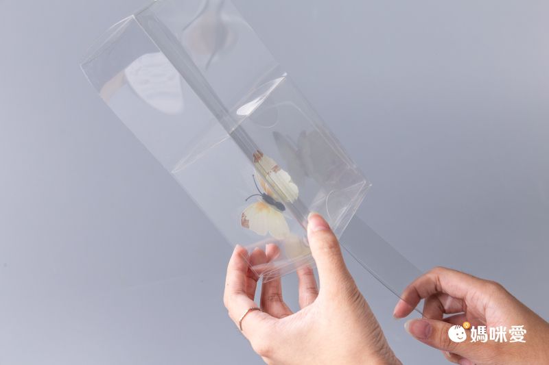 【限時開團】怕蟲一族救星！超簡單抓蟲神器