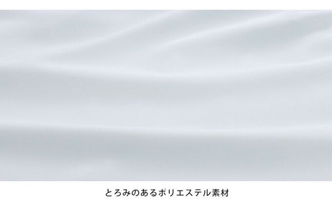 日本 BLUE EAST - 優雅摺線都會感小立領長袖上衣-黑