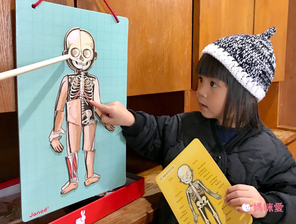 法國Janod - 【熱賣】磁鐵遊戲書-我的身體
