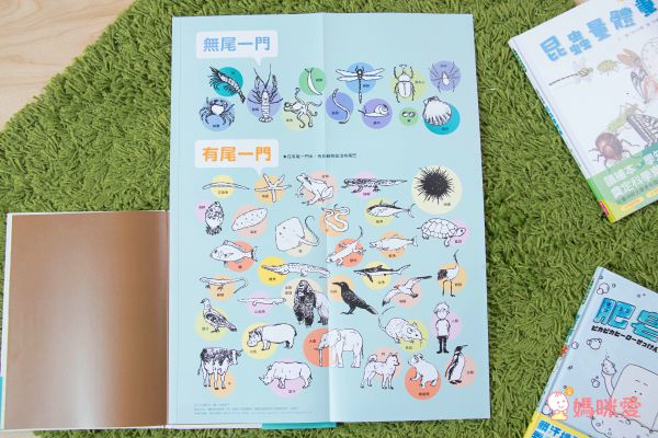 科學不思議1：昆蟲量體重