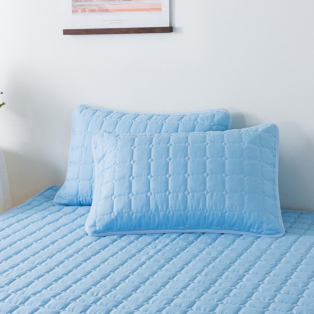 MIGRATORY 媚格德莉 - 100%高效防水透氣保潔枕套-2入-藍色 (50x75cm)