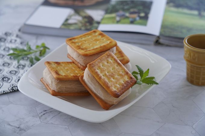 小泉芳子 - 冰餅雙享組-巧克力+花生 (共16個)-8入/盒