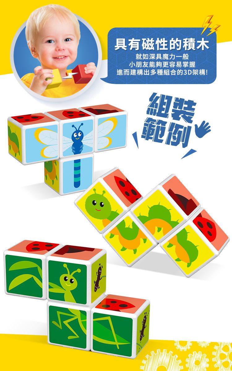 瑞士 Geomag - Magicube 磁性積木-昆蟲主題 4塊組