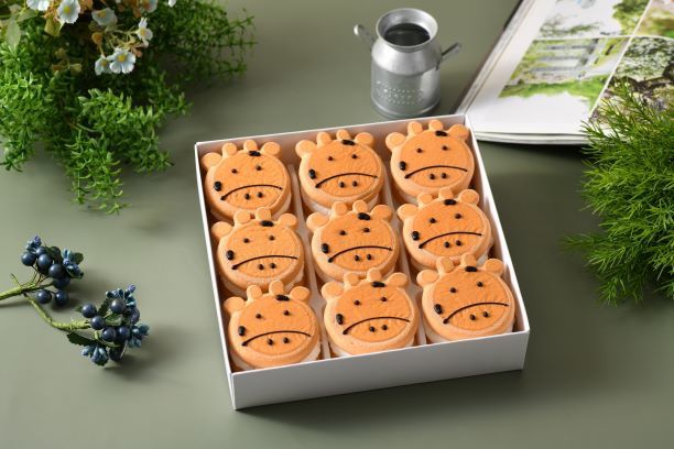 1盒免運【卷卷烘焙】媽咪愛獨家組合生乳銅鑼燒