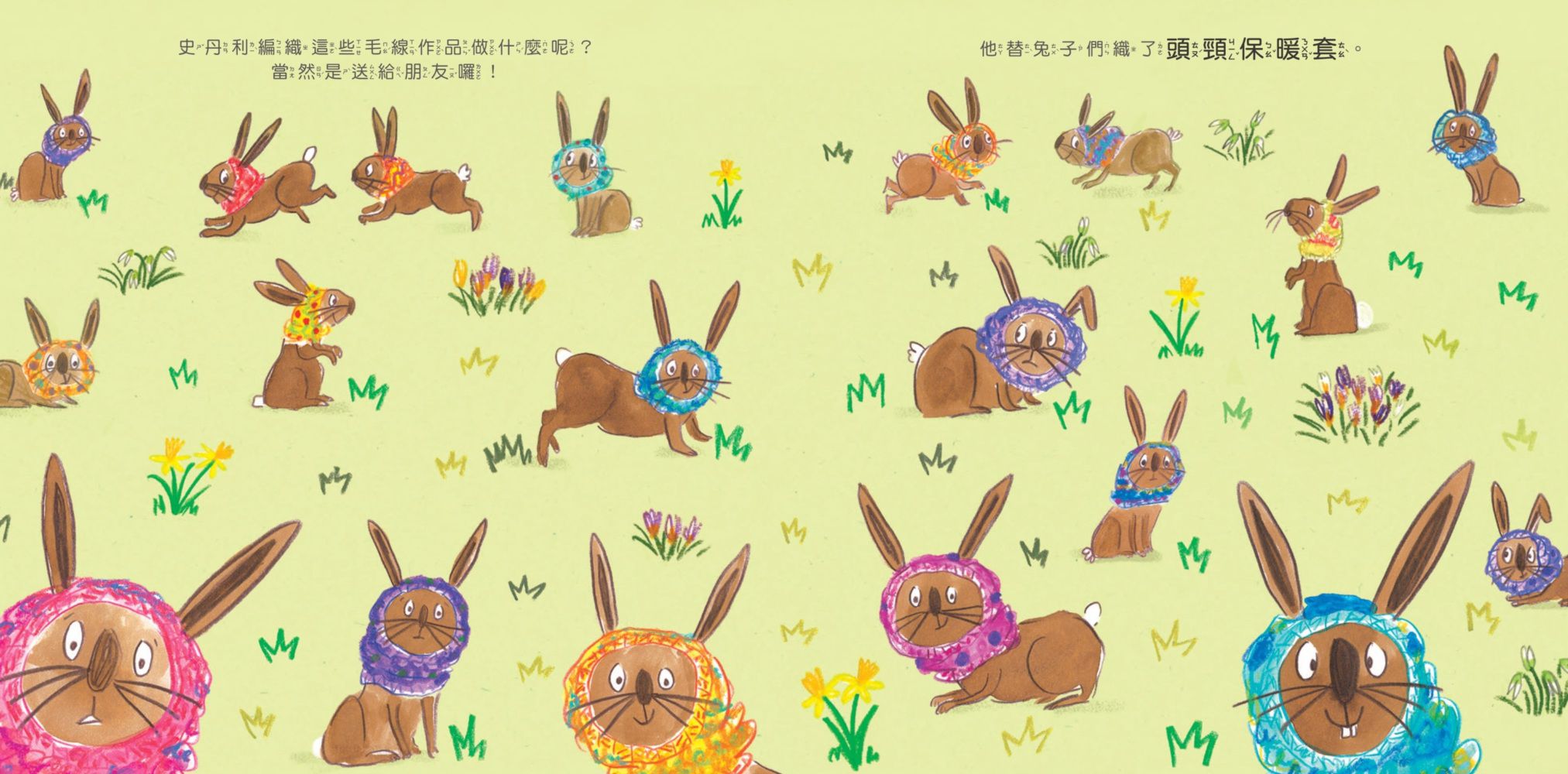 神奇的編織高手史丹利