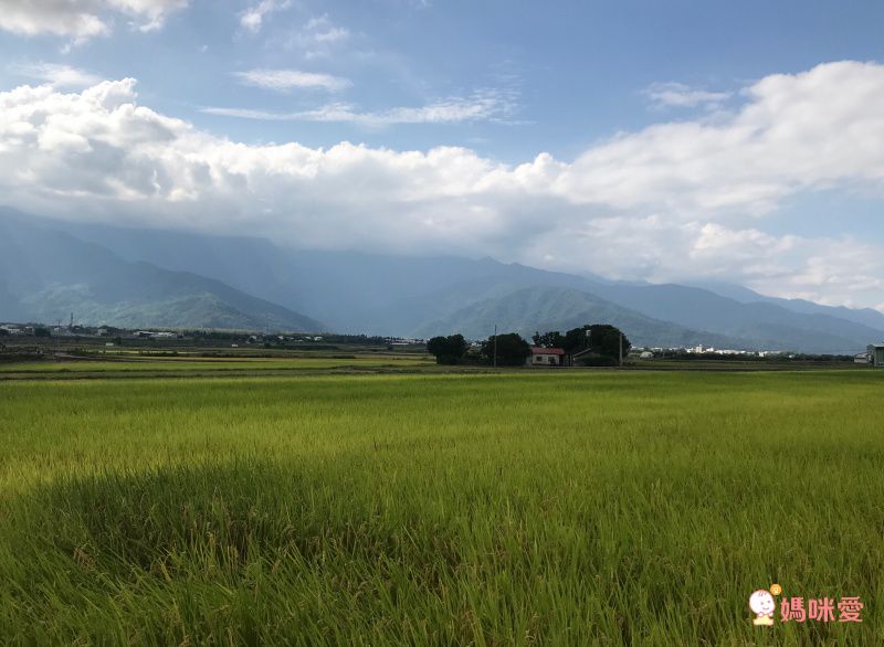台東池上日暉國際渡假村｜頂級 Airstream 露營車