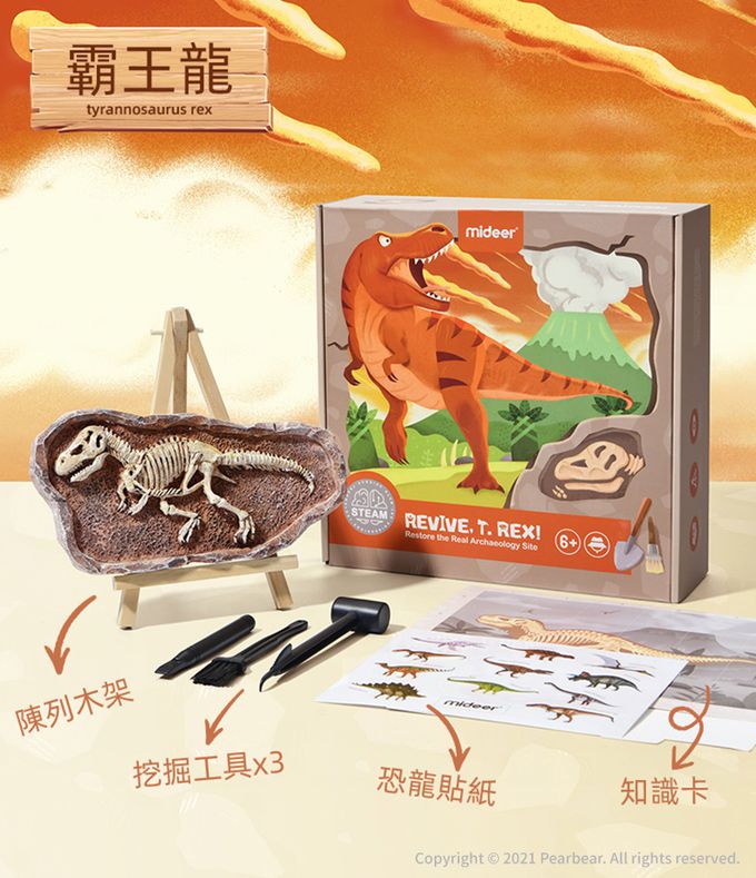 MiDeer - 考古挖掘套組-霸王龍