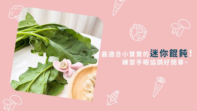 兔比媽咪廚房 - 寶寶餛飩-菠菜-(25顆/100顆)