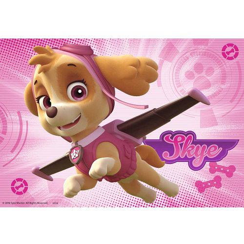 維寶拼圖 - 汪汪隊C 2x24p