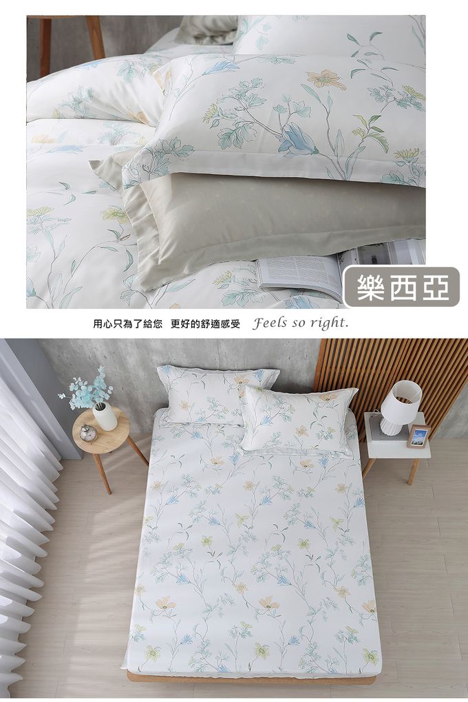 鴻宇 HongYew - 雙人加大床包枕套組 300織天絲-多款任選