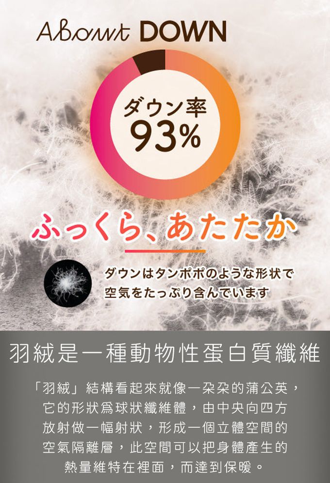 ROMANCE 小杉 - 日本製匈牙利鵝絨羽絨被150x210cm