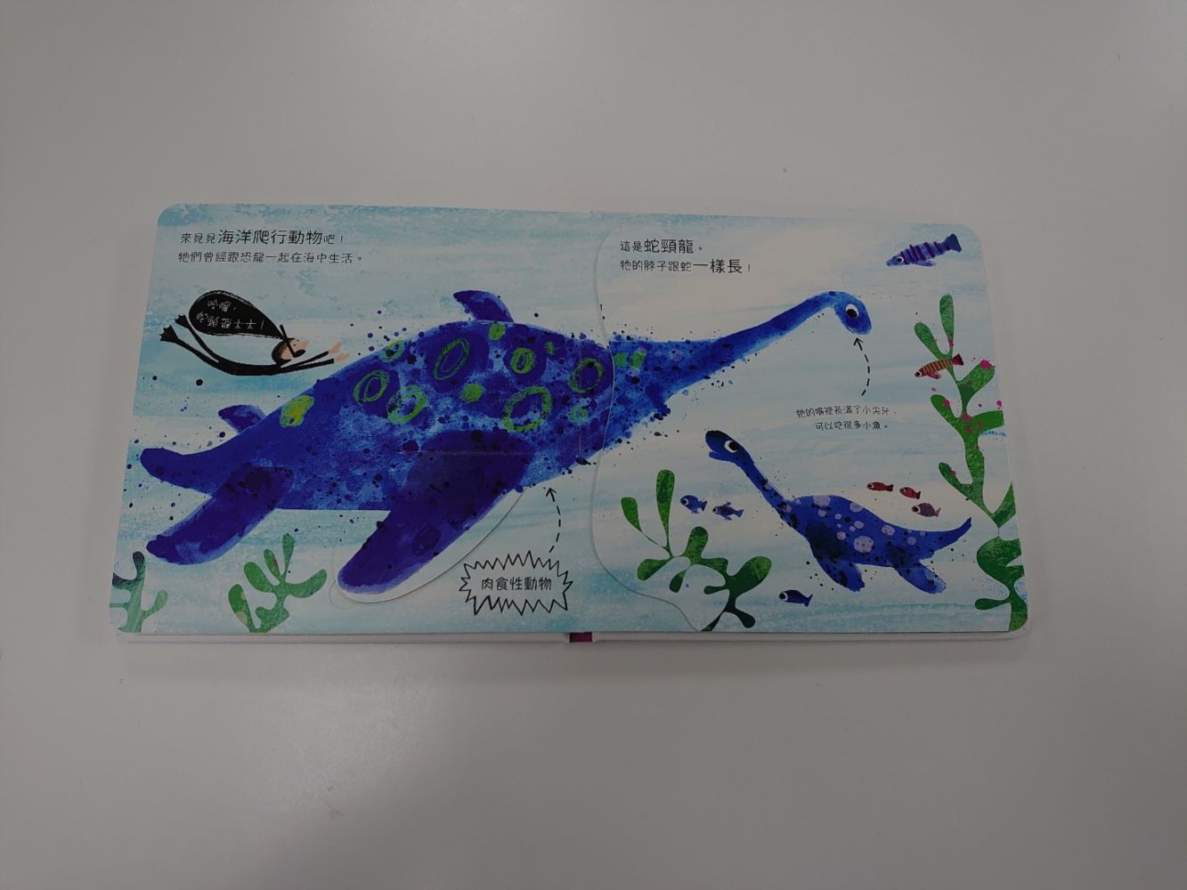 哈囉，恐龍先生！