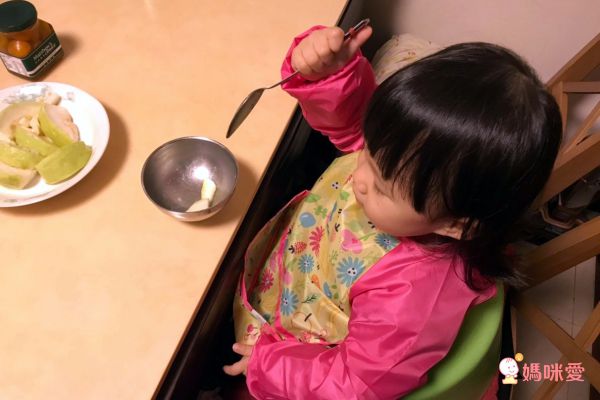 美國 green sprouts - 魔鬼氈雙面防水/防食物掉落長袖圍兜單入組-甜蜜花園